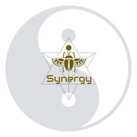 Synergy Wing Chun
