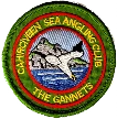kerry sea angling charters
