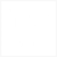 Saltydog Yoga