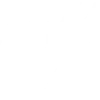 VDV Fitness