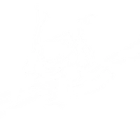 Associazione Kyudo Vento di Primavera (AKVP)