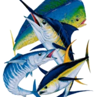 Newport Game Fish Club