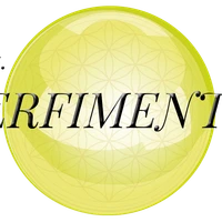 Erwan Merendet - Perfimentis