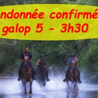 Adventure Horse - Point Departure Hiking