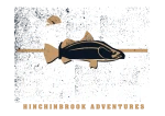 Wild Hinchinbrook Adventures