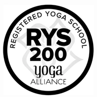 Mvmt+ Yoga Collective