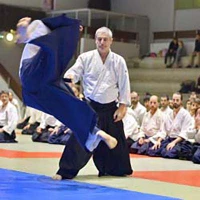 Aikido Auzeville 31