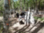 PAINTBALL 17
