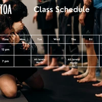 Toa Brazilian Jiu-Jitsu
