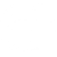 Waves Surf School