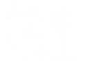 Beautiful Fairy Dance