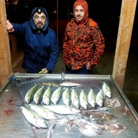 Twilight Fishing Charters