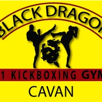 Black Dragon Martial Arts Academy Cavan