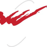 Robert Lee Martial Arts
