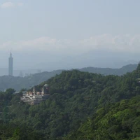 Taiji Yang Riv'gauche