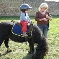 Les Poneys D'eole