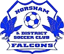 Horsham Falcons