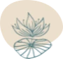 YYOGA Northshore Elements