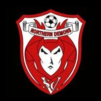 Northern Demons Virtus Soccer Club