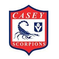 Casey Scorpions Football Club