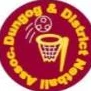 Dungog Netball Club