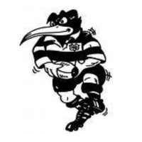Molong Rugby Union Football Club