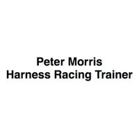 Peter Morris - Harness Racing Trainer
