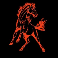 Top End Mustangs
