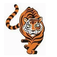 Tigers QH Netball Club