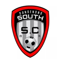 Dandenong South SC