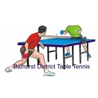 Bathurst District Table Tennis