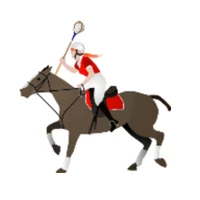 Goondiwindi Polocrosse Club
