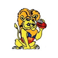 Hay Lions Football & Netball Club