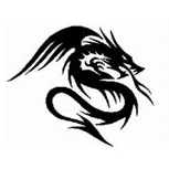 Dragon Kung Fu & Tai Chi School