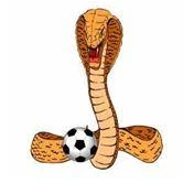 Russell Vale Junior Football Club