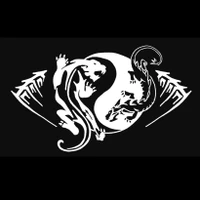 Dragon Tao Kung Fu