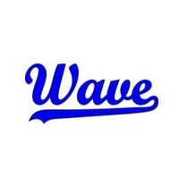Endeavour Waves Sofball Club