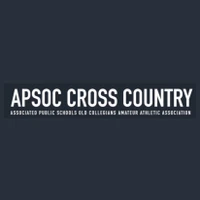Associated Public Schools Old Collegians (Amateur Athletic Association)