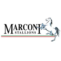 Marconi Stallions FC