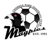 Condell Park FC