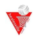Healesville Netball Association
