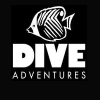 Dive Adventures - Sydney