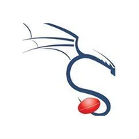 Southern Dragons Football Club