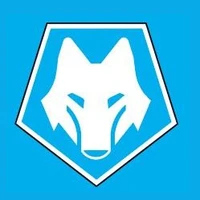 Dandenong Wolves FC