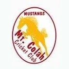 Mount Colah Cricket Club