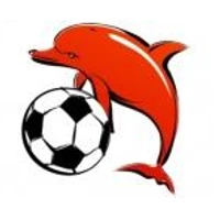 Hampton Dolphins FC