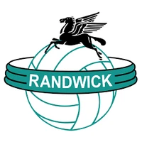The Bays Netball Club