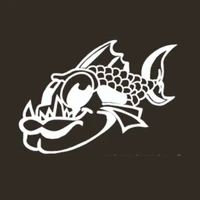 Aqua Attack Swimming Club