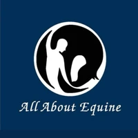 All About Equine