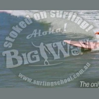 Big Wave Surfing School